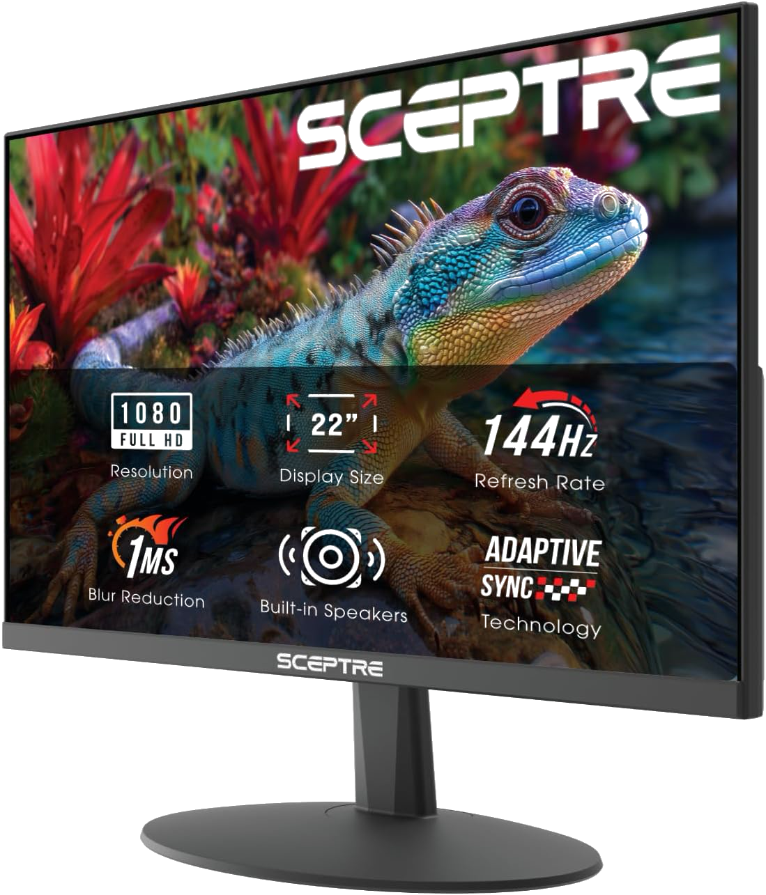 Sceptre display prize